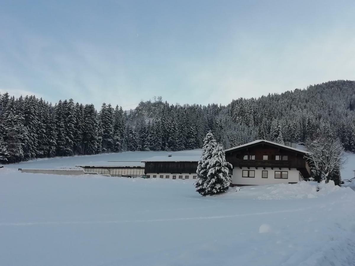 Ferienwohnung Angererhof Райт-ім-Альпбахталь Екстер'єр фото